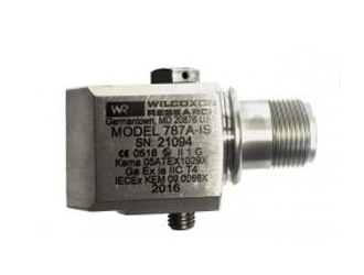  美捷特 標(biāo)準(zhǔn)加速計(jì)，側(cè)出口 787A-IS